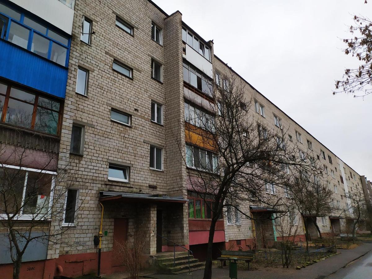 Apartment On Oktyabrskaya 105 Babrujsk Esterno foto